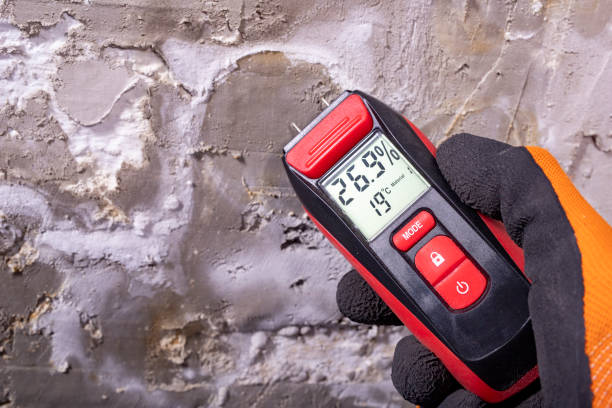 Professional Mold Removal in Northumberland, PA